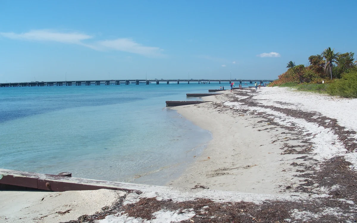 The shoreline at Historic Virginia Key Beach Park, with timber groynes running into clear shallow water and a low causeway bridge crossing the background