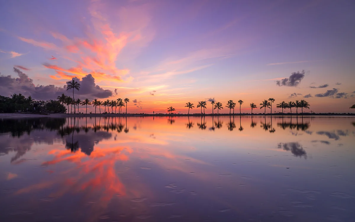 Sunrise reflected in the atoll pool at Matheson Hammock Park, with a long line of palms silhouetted along the far bank