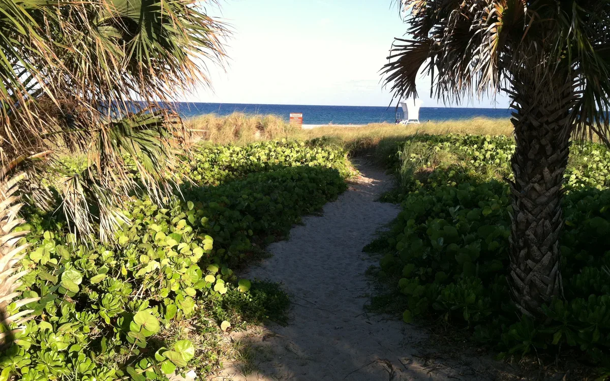 A sand access path through sea grape to the beach at Delray Municipal Beach, Palm Beach County, Florida