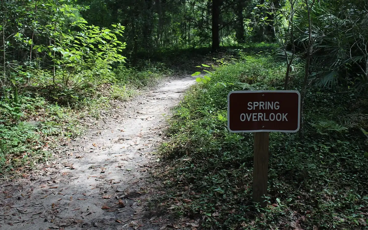 Madison County, Florida