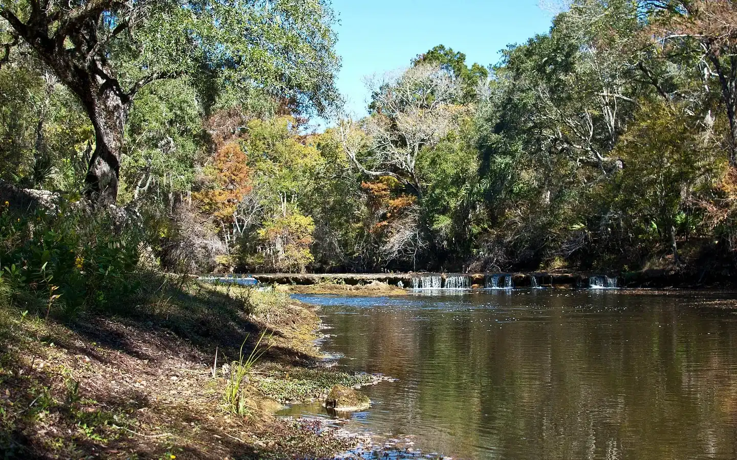 Taylor County, Florida