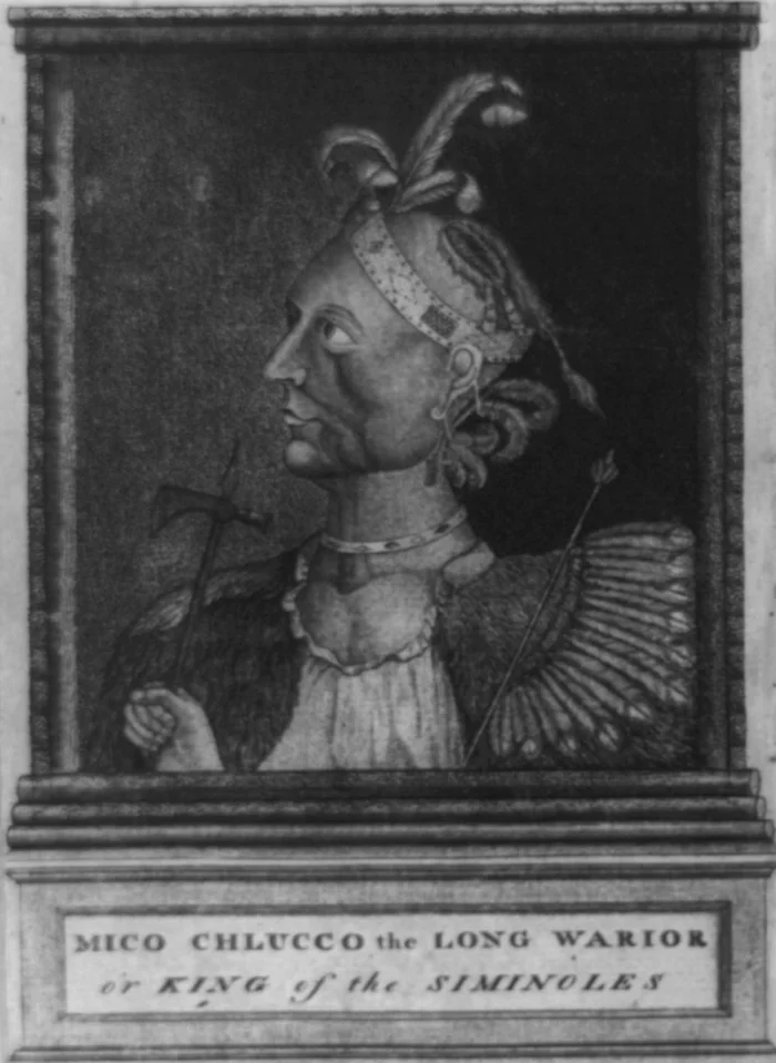 Mico Chlucco, the Long Warrior, "King of the Seminoles," in the front of William Bartram's Travels, 1791.