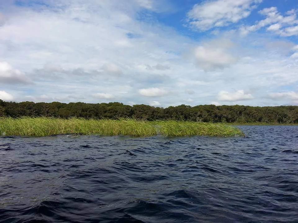 The canoe site on Newnans Lake, also called Lake Pithlachocco.