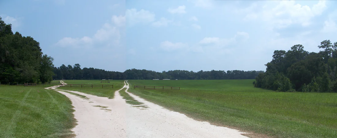 Open land at San Felasco Hammock Preserve State Park.