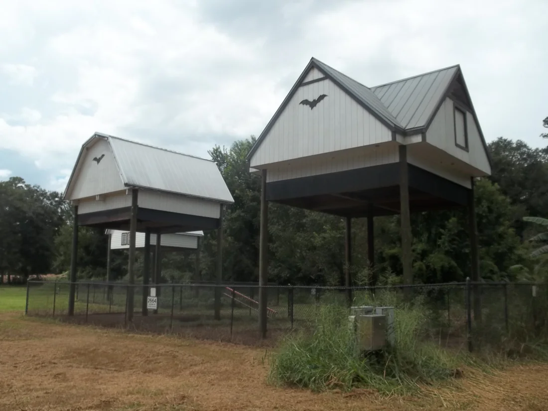 The bat houses at the University of Florida.