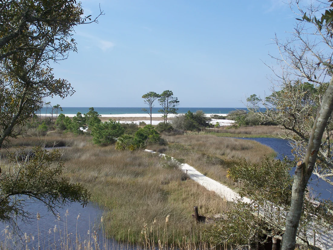Camp Helen State Park on the Gulf coast.