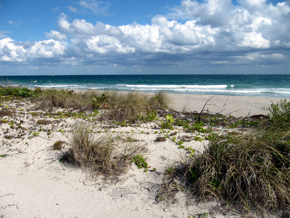 The beach at the state park in Dania Beach that was renamed in 2016 for Dr. Von D. Mizell and Eula Johnson, seen in 2014.
