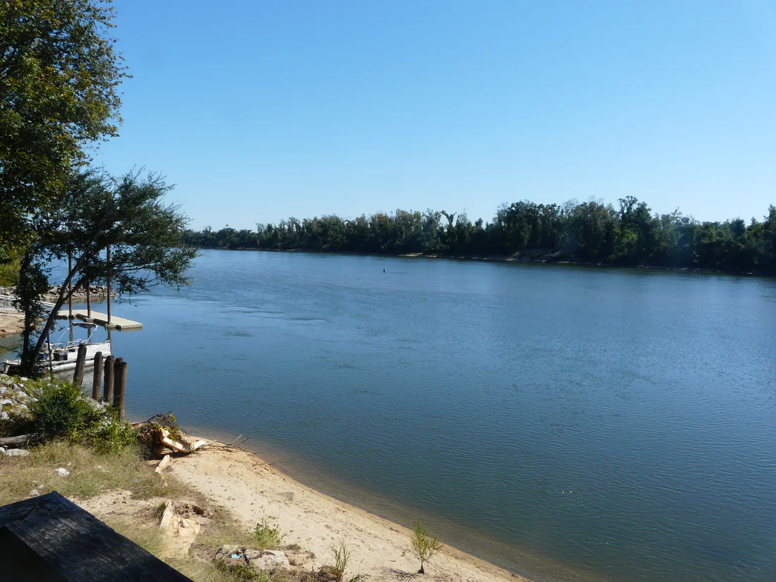 The Apalachicola River looking upstream from Neal Landing in Blountstown.