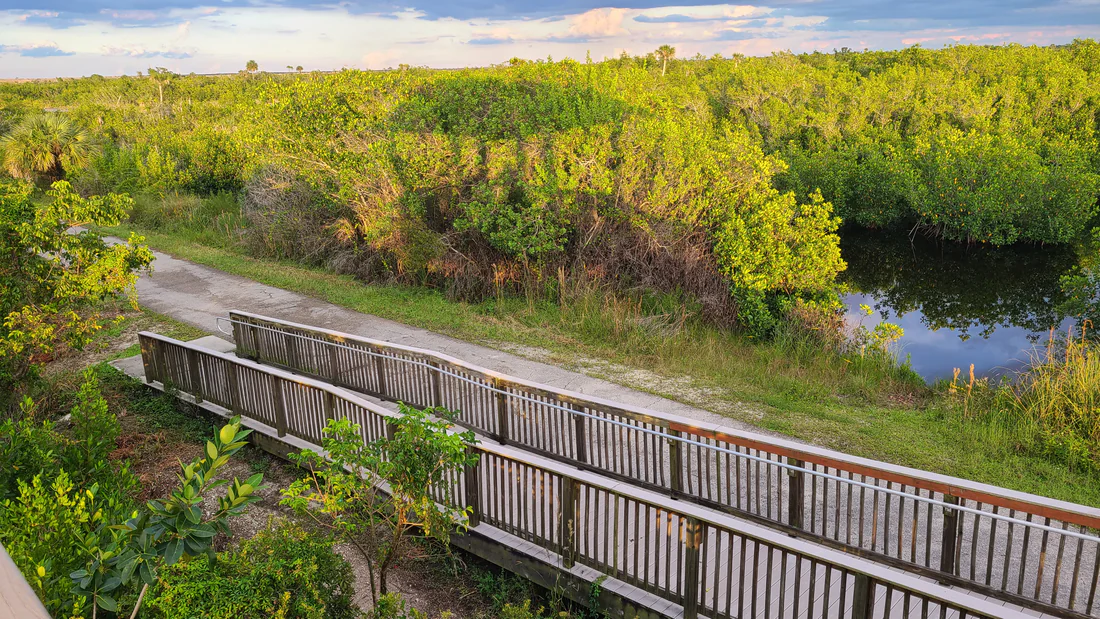 A boardwalk in the Everglades near Naples, 2021.