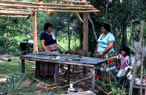Mary B. Billie and her daughter Claudia C. John under a chickee being built on the Big Cypress Reservation.