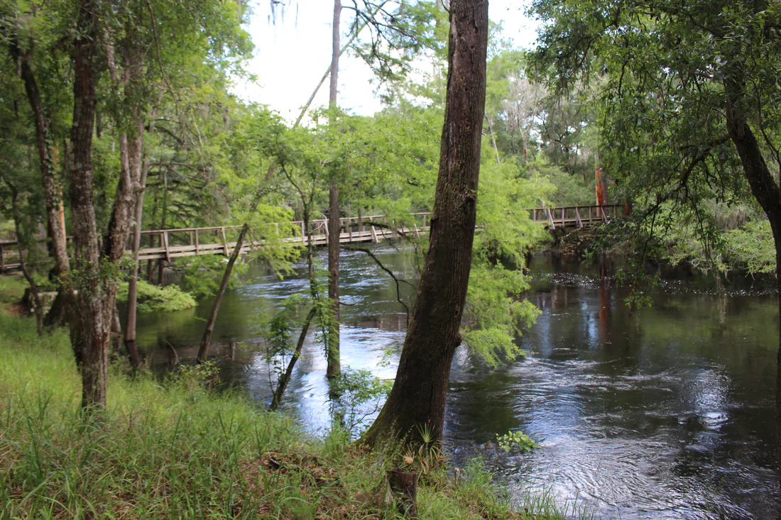 A suspension bridge over the Santa Fe River at O'Leno State Park, 2021.