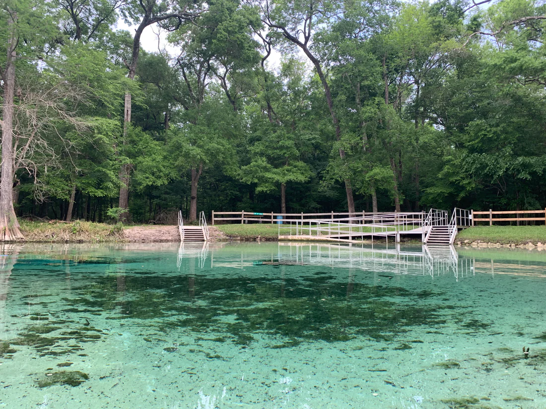 Clear spring water at Rum Island Springs, 2021.