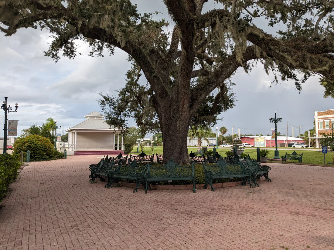 The Tree of Knowledge in its park in Arcadia, where the first Pioneer Day was held, 2023.