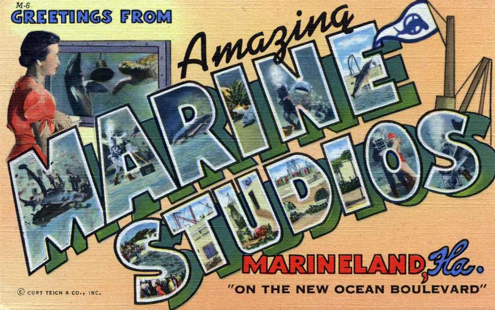 A 1946 postcard greeting visitors to Marine Studios at Marineland.