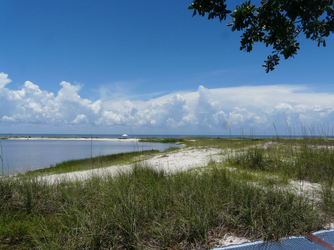 The lagoon and Apalachee Bay from a trail at Bald Point State Park, 2021.