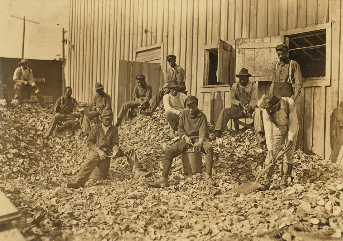 Oyster shuckers at work in Apalachicola, photographed by Lewis Hine in 1909.