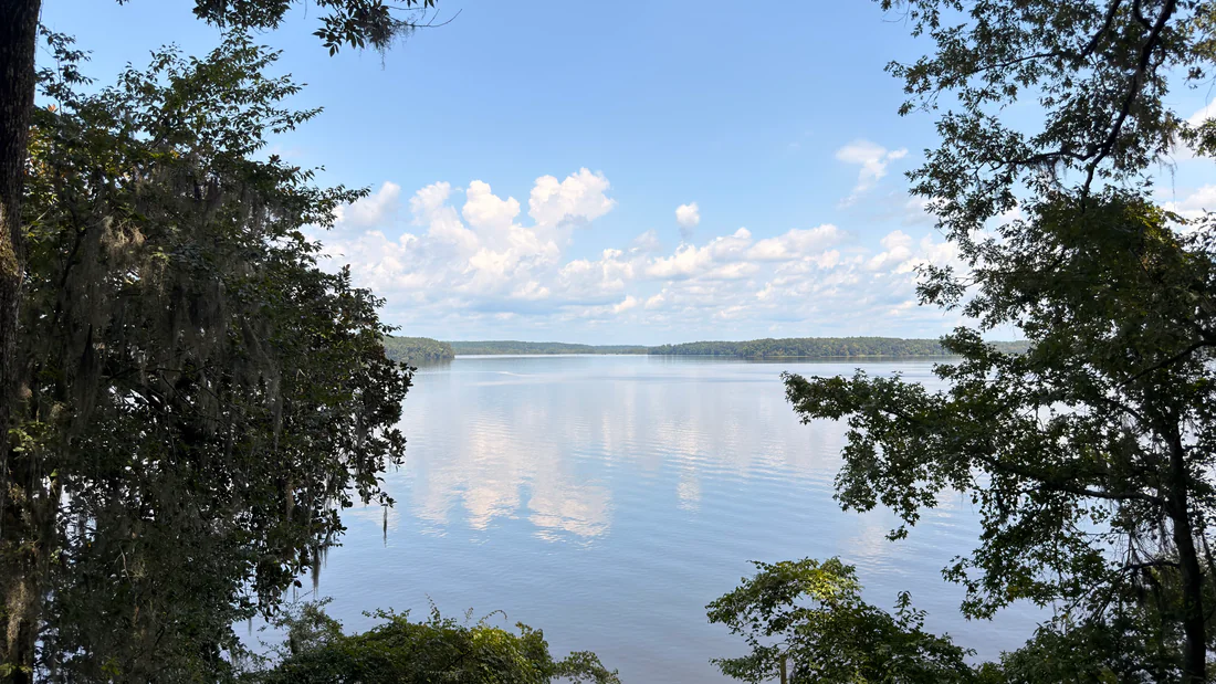 A view of Lake Talquin from Lake Talquin State Park, 2026.