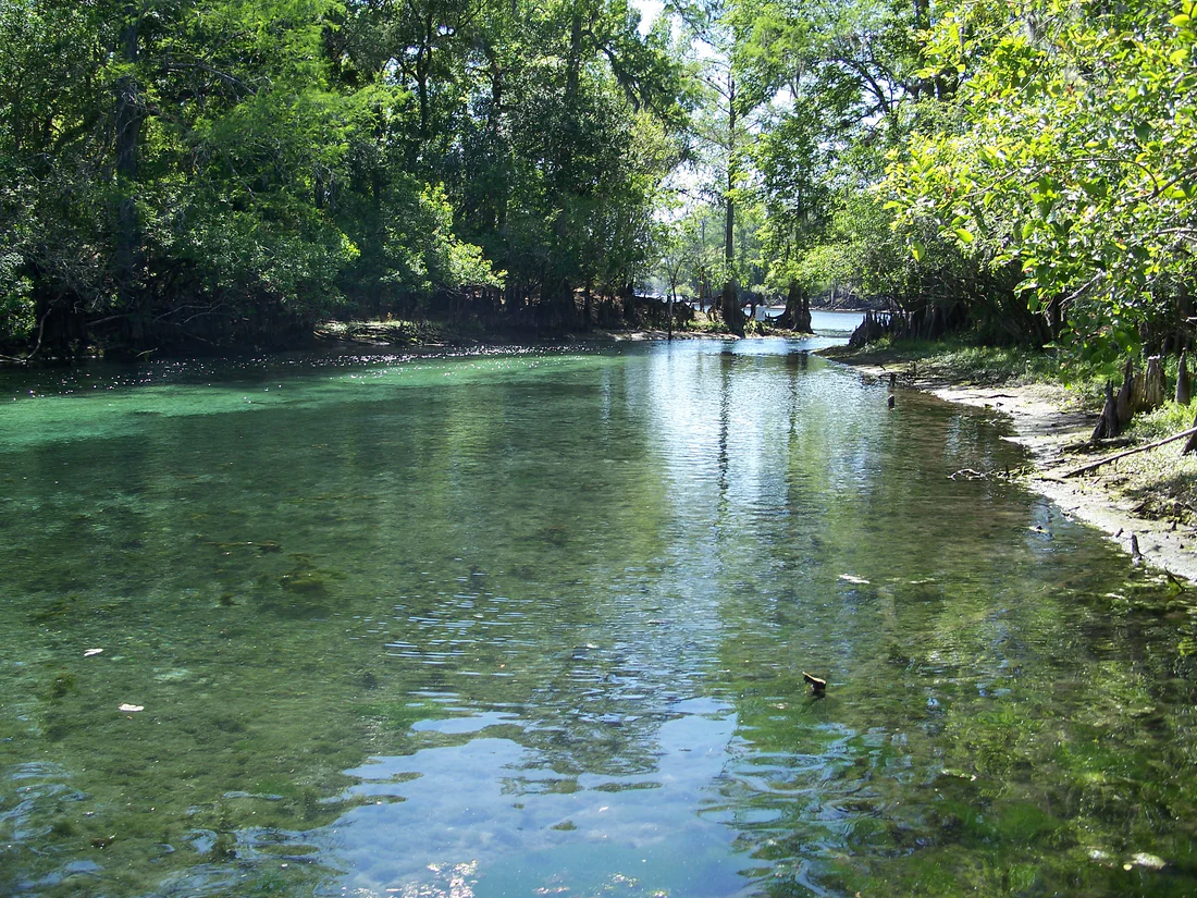 Water from the springs at Fanning Springs State Park flowing toward the Suwannee River, 2007.