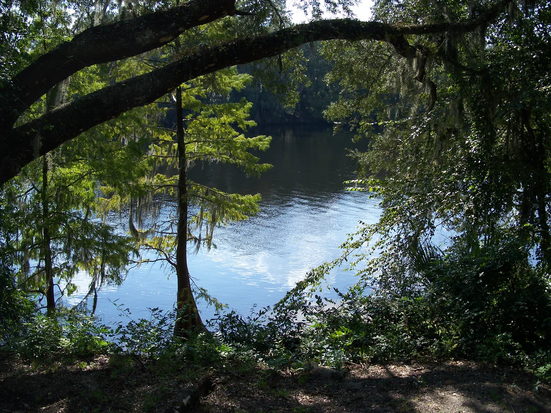 The Suwannee River seen from the historic park at Fanning Springs, once the area's boat landing, 2010.