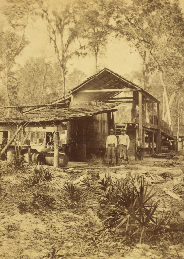 A turpentine distillery in Florida, on a stereo card from about 1880.