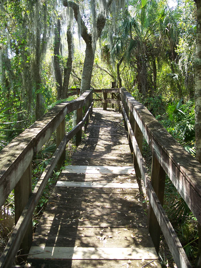A wooden boardwalk through the trees at Ortona Indian Mound Park.
