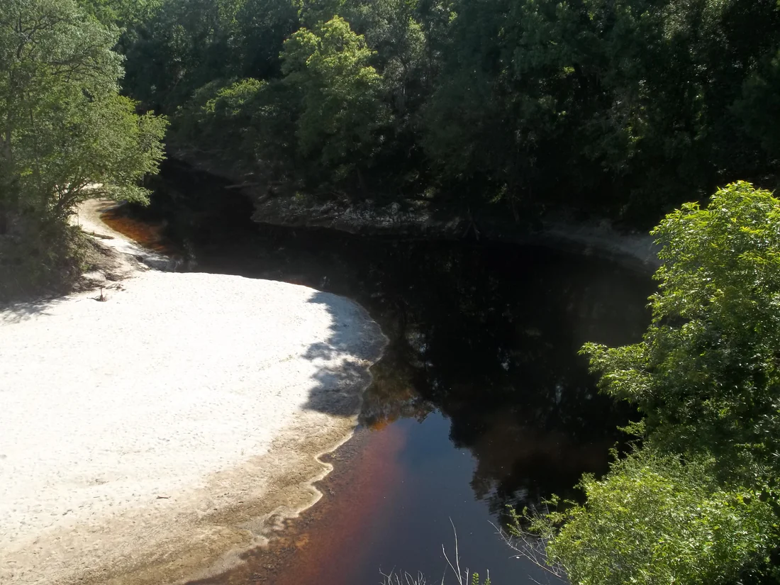 The Alapaha River at County Road 751, the river Daniel Bell followed from Georgia in 1824.
