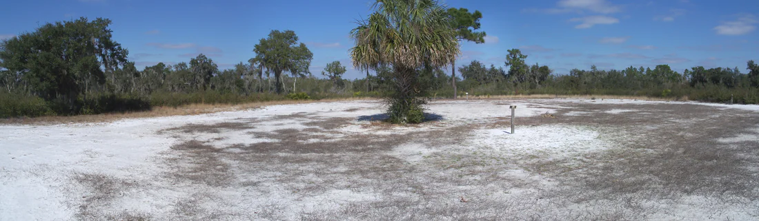 The open ground where Fort Chokonikla stood, in Paynes Creek Historic State Park, 2010.