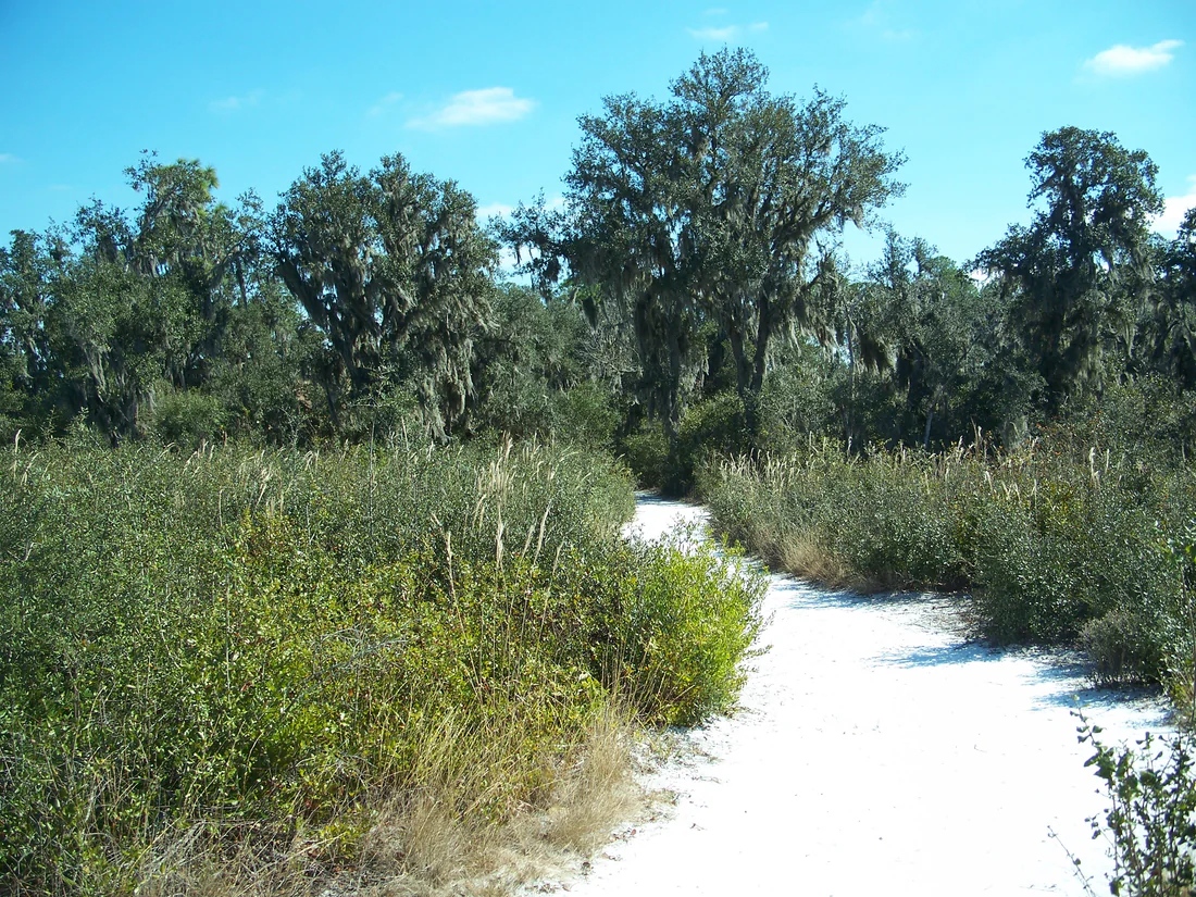 A trail in Paynes Creek Historic State Park, which holds the trading post site and the monument.
