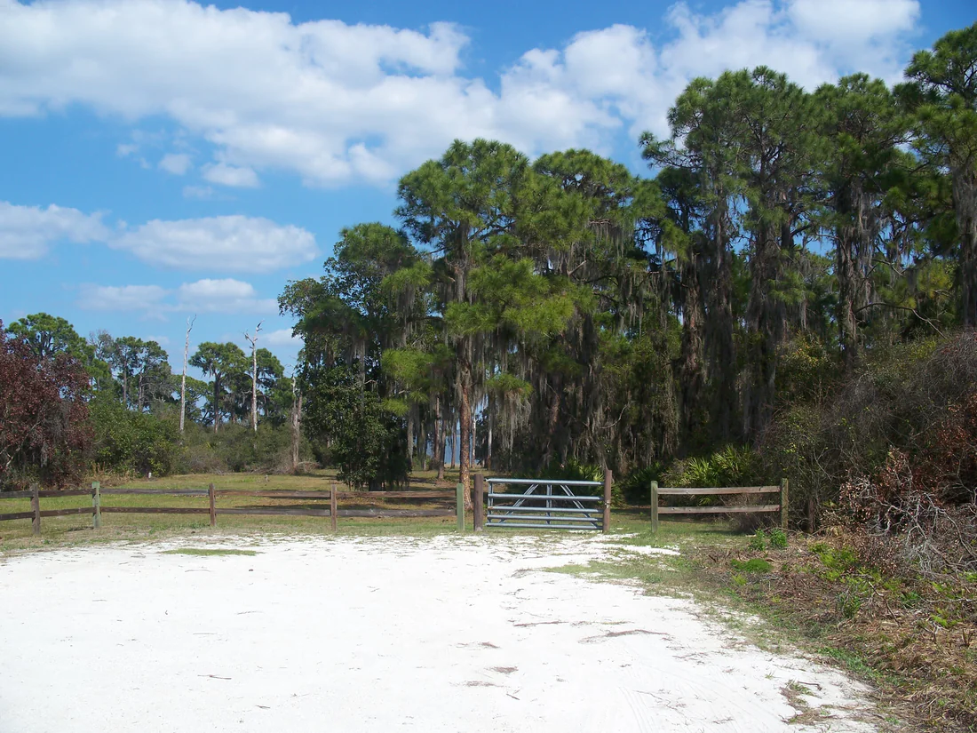White sand and scrub at Lake June-in-Winter Scrub Preserve State Park, 2011.
