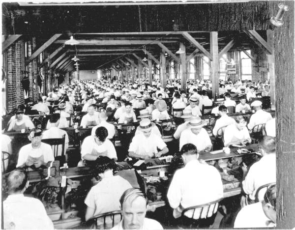 Workers rolling cigars by hand in an Ybor City cigar factory. State Archives of Florida.