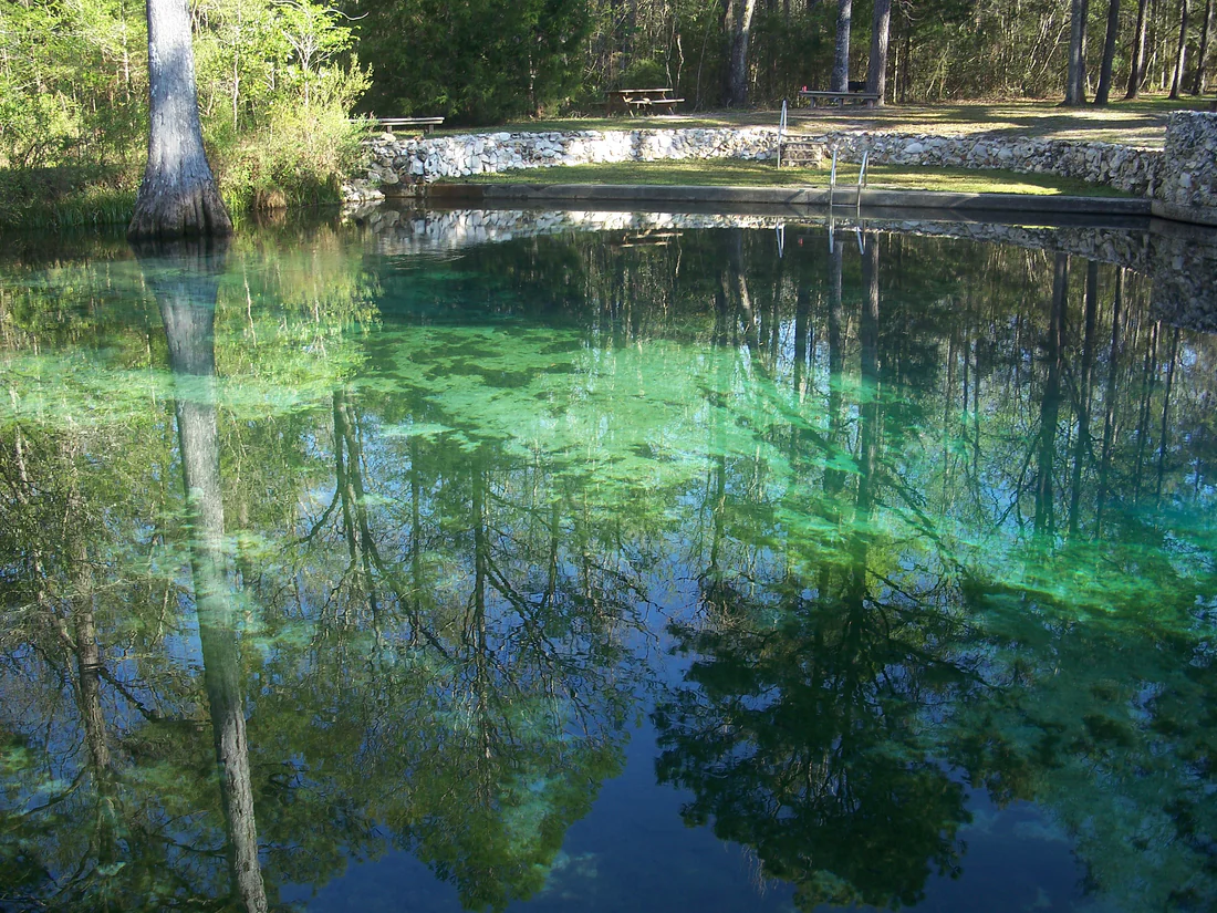 The clear blue water of Ponce de Leon Springs, which Native Americans used for drinking water.