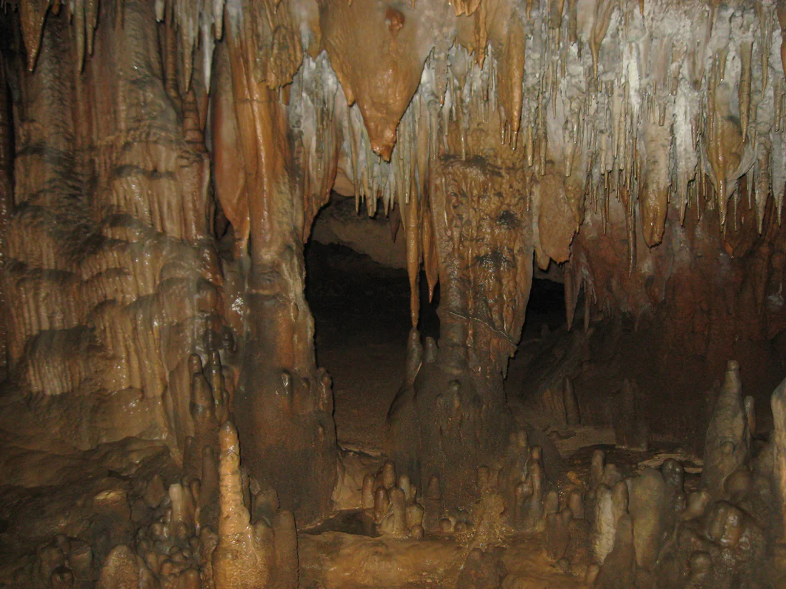 Stalactites and stalagmites inside the caves at Florida Caverns State Park, 2015.
