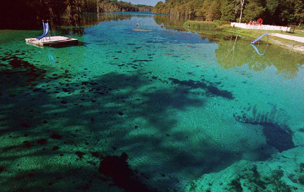 The clear blue water of Jackson Blue Spring, 2004.
