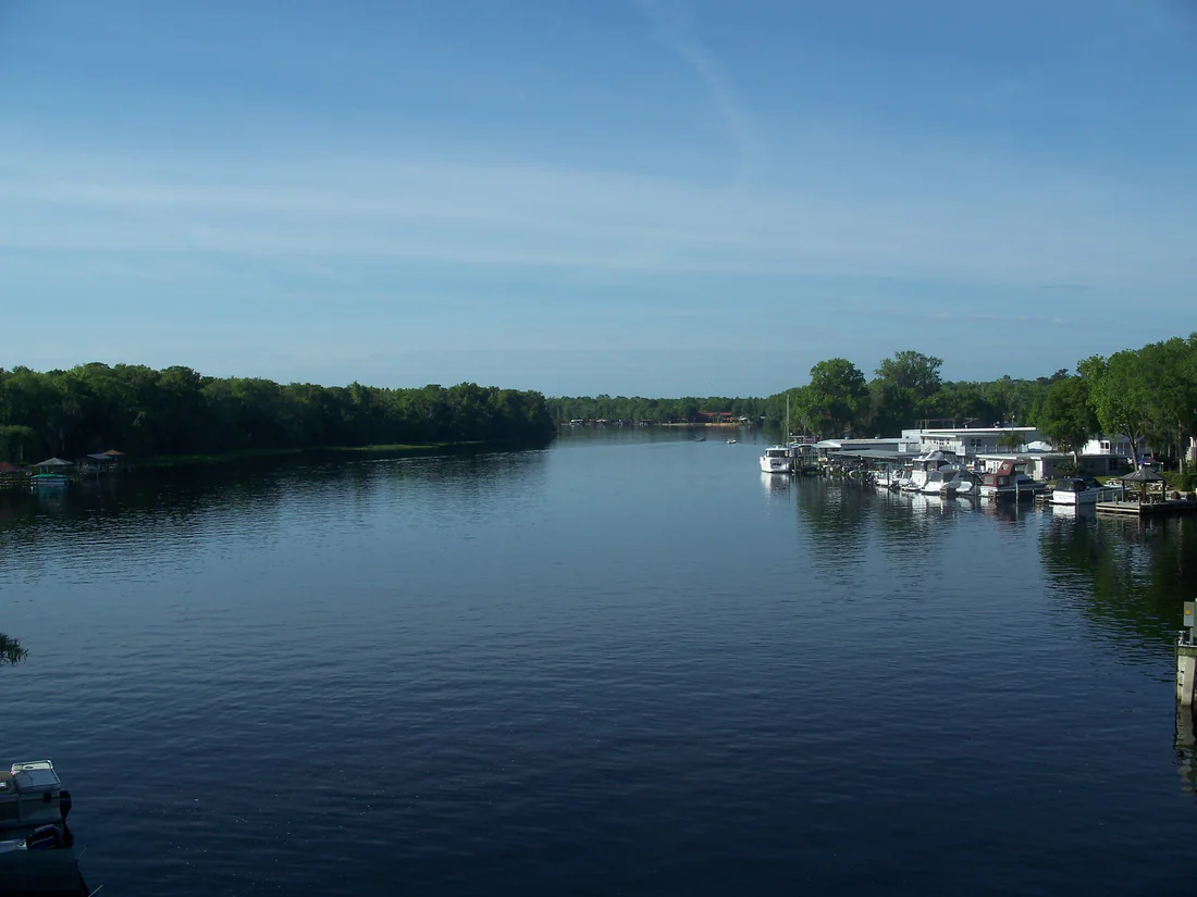 The St. Johns River at Astor, 2010.