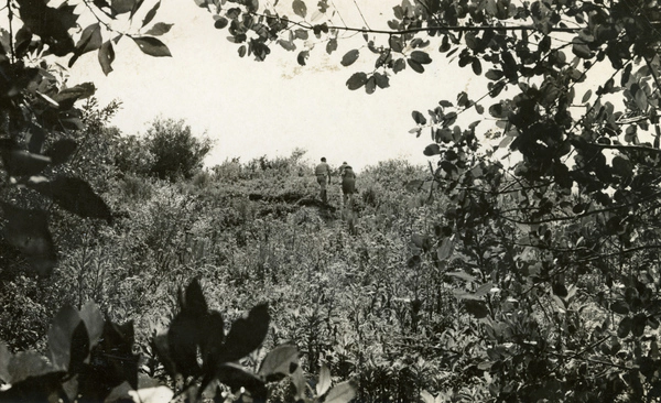 Members of the Koreshan Unity walking on mounds the Calusa built on Mound Key, about 1900. State Archives of Florida.