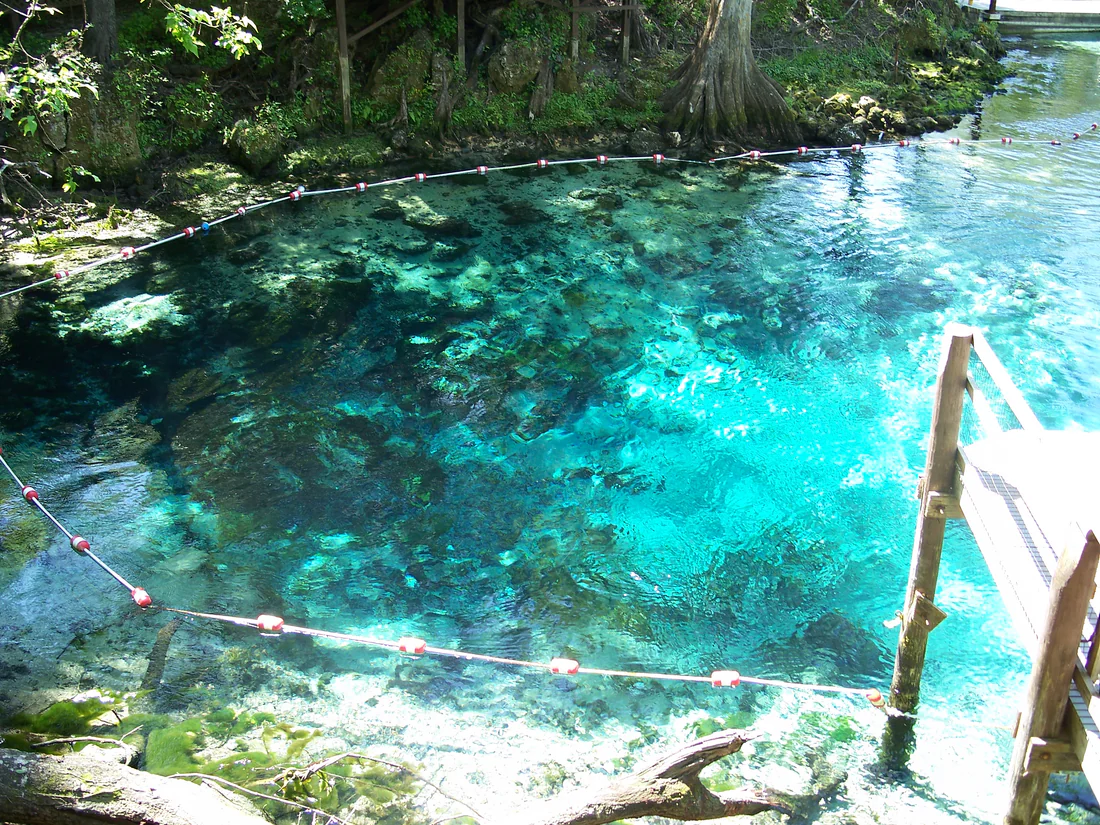 The spring at Fanning Springs State Park.