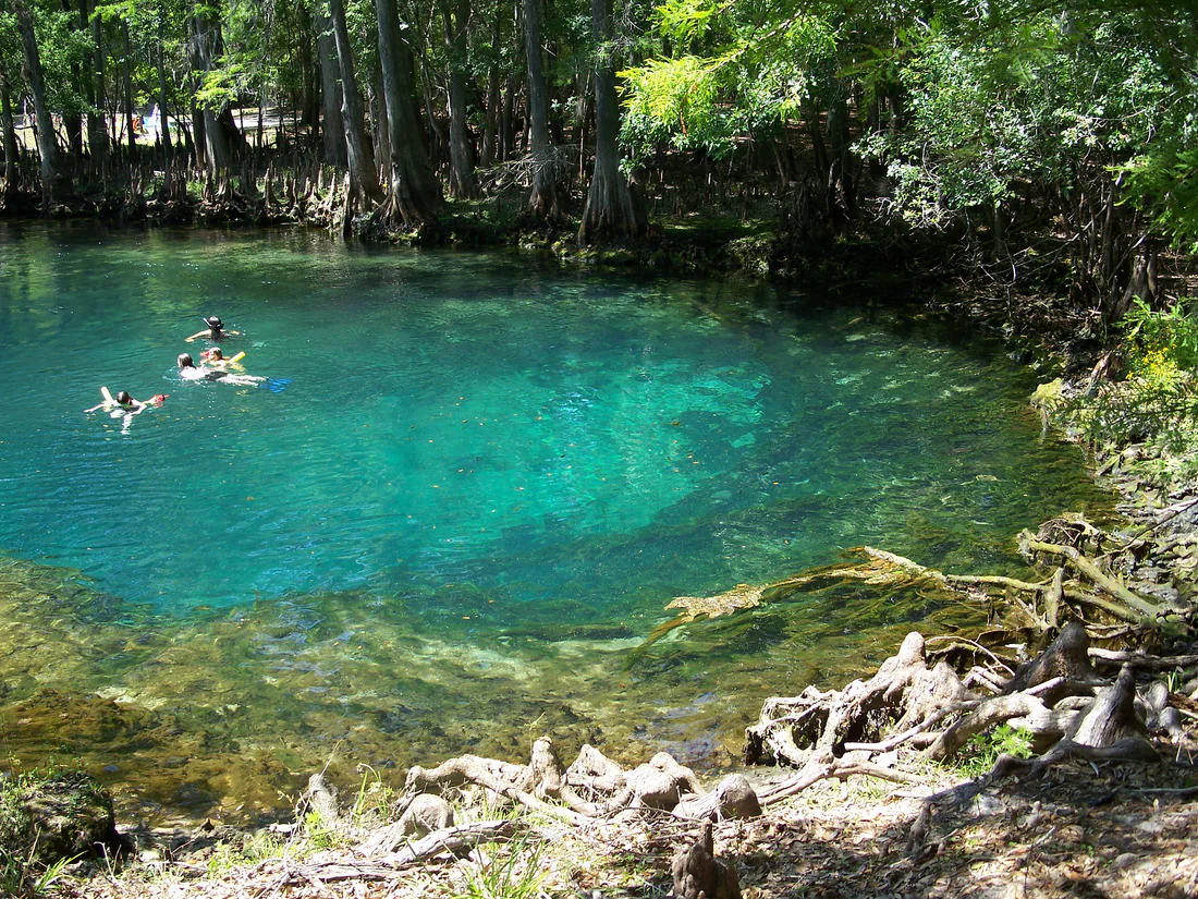 The clear blue spring at Manatee Springs State Park.