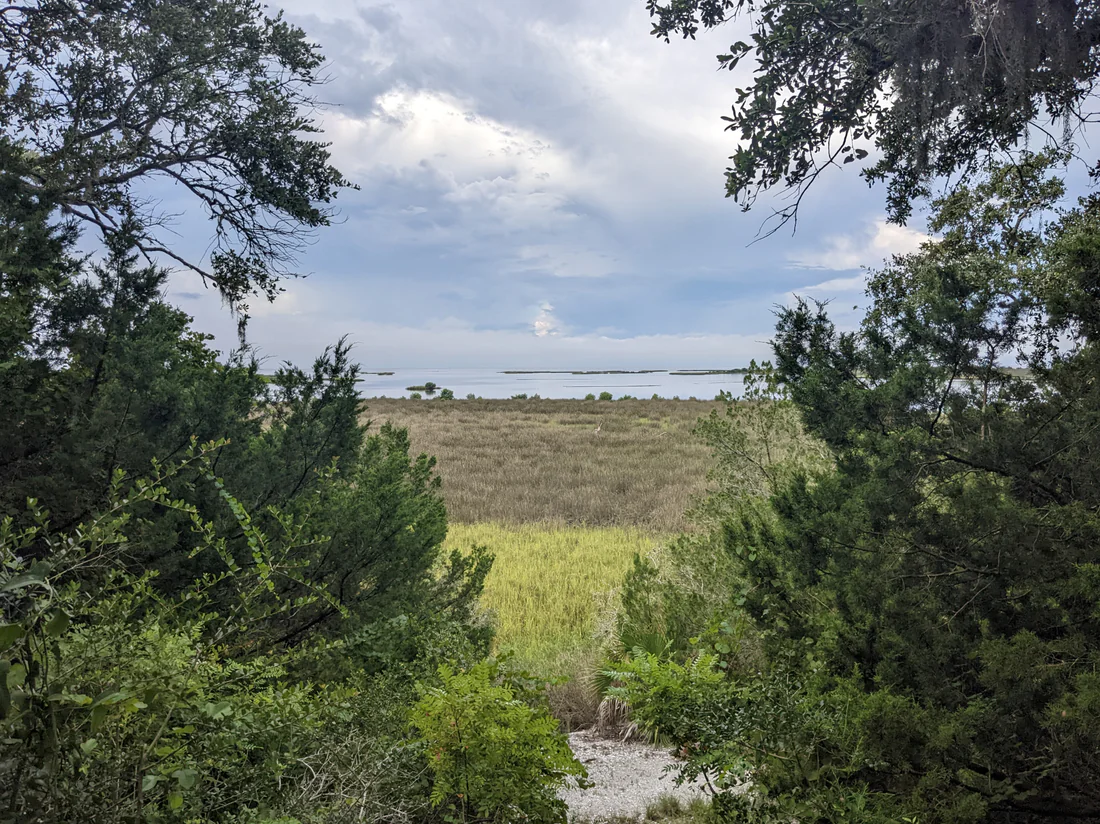 The view toward the Gulf of Mexico from the top of Shell Mound, 2022.