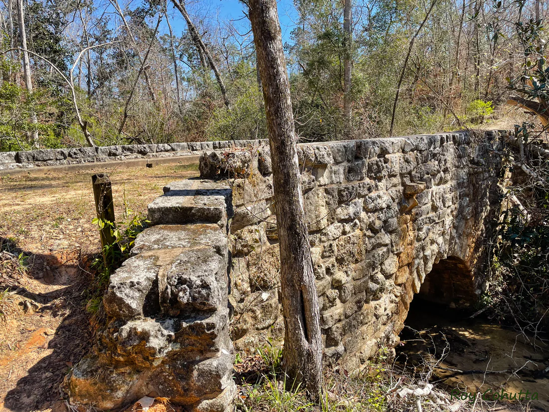 A stone bridge in the woods of Torreya State Park, 2022.
