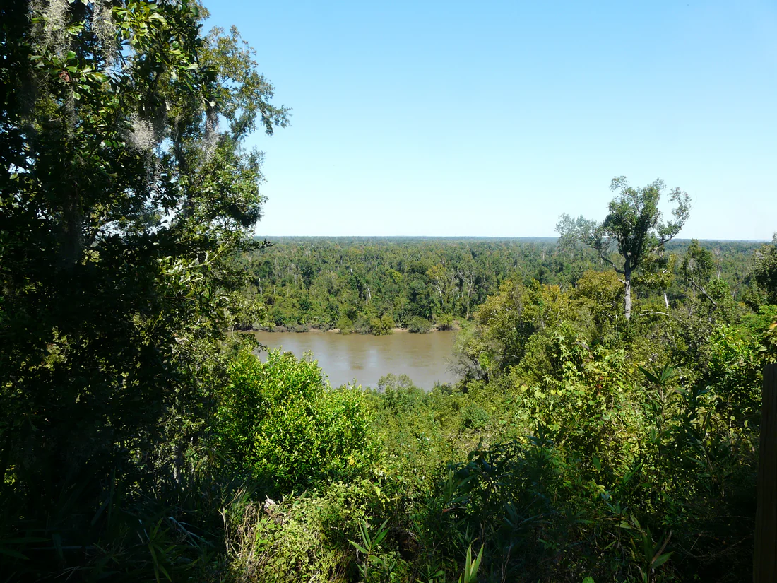 The Apalachicola River from the high bluff behind the Gregory House, where Confederate gun pits stood.