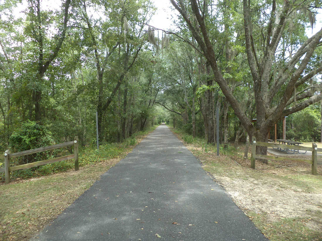 The paved Four Freedoms Trail running through the woods of Madison County.