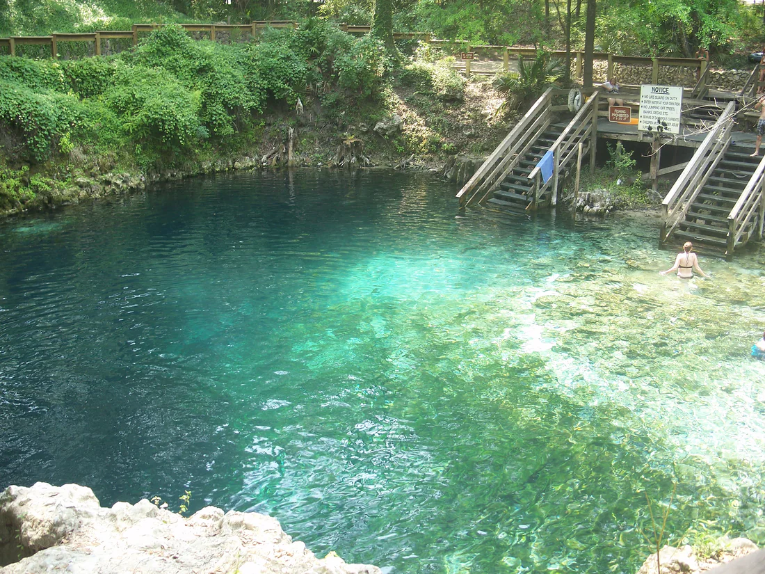 The clear blue water of Madison Blue Spring, which the state bought in 2002.