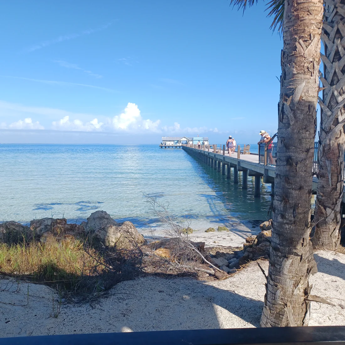 The Anna Maria City Pier seen from shore, 2022.