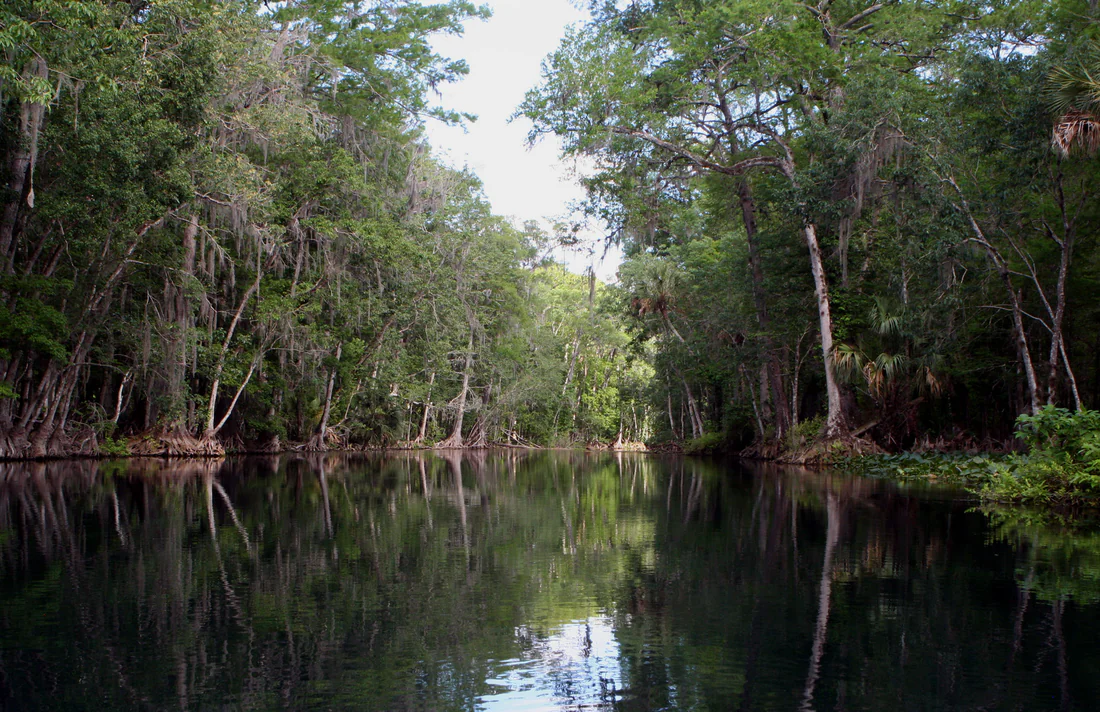 The Silver River, 2009.