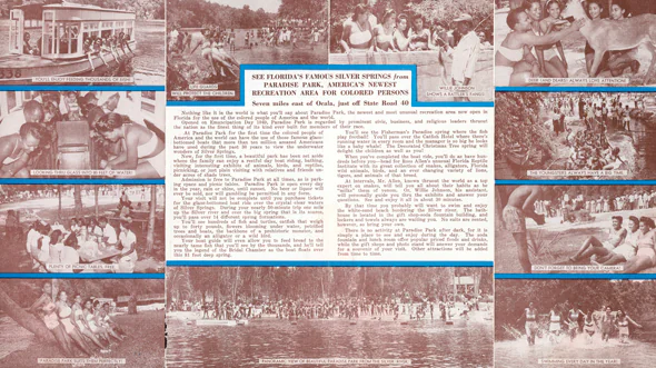 A promotional flyer for Paradise Park.