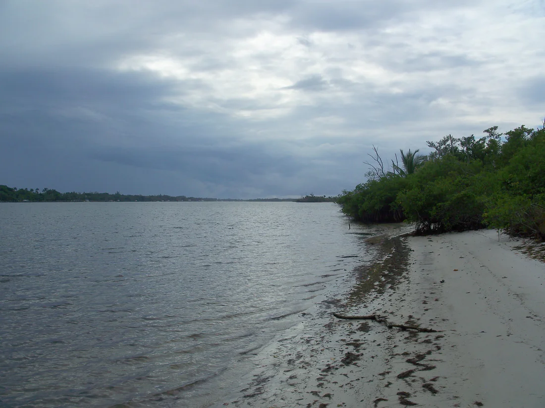 The shore at Hobe Sound National Wildlife Refuge.