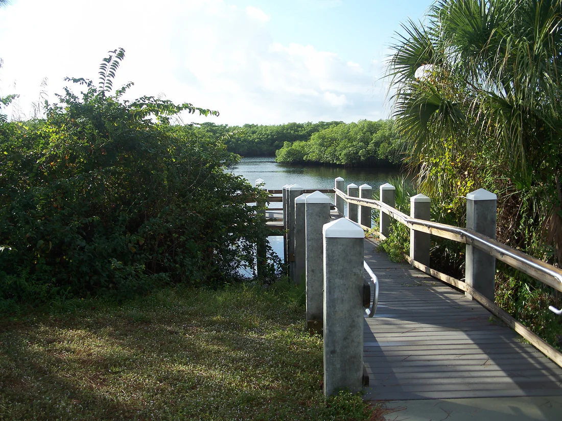 A boardwalk beside the Loxahatchee River in Jonathan Dickinson State Park.