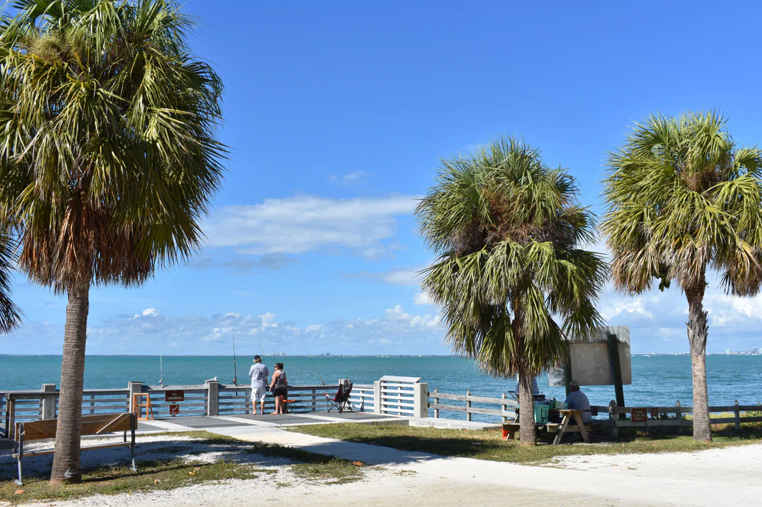 Palm trees and the water at Bill Baggs Cape Florida State Park.