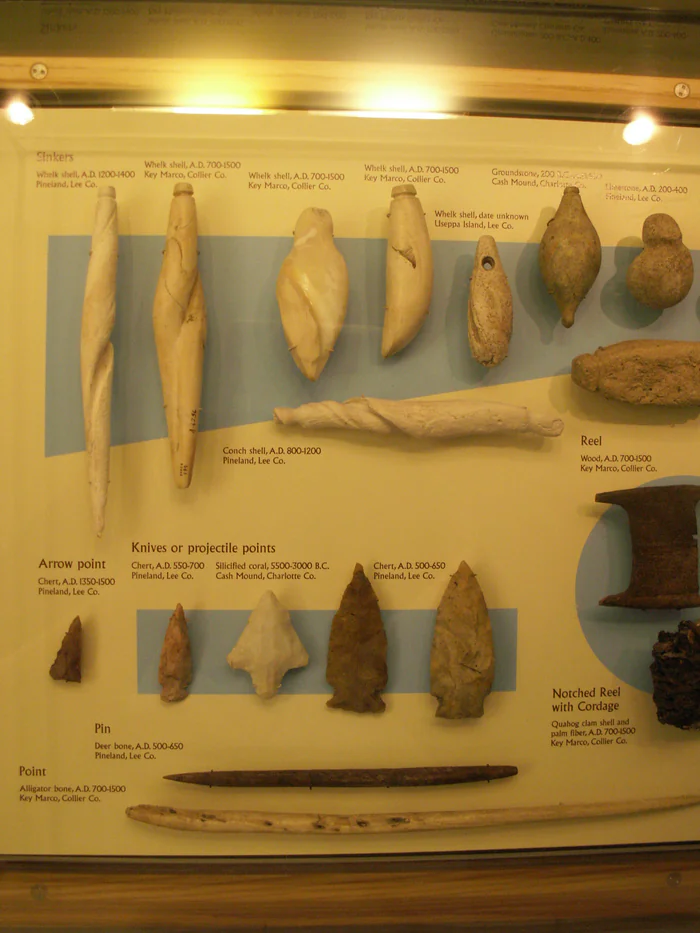 Calusa shell tools and arrowheads on display at the Florida Museum of Natural History.