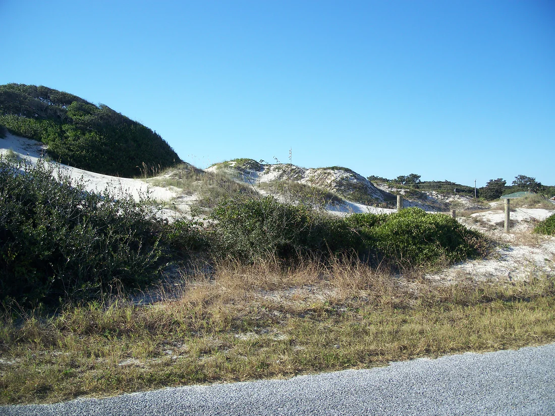 The NaNa dune at American Beach, 2010.